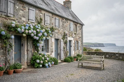 Façade en granit d'une chambre d'hôtes bretonne typique du Finistère avec jardin fleuri et vue sur la côte